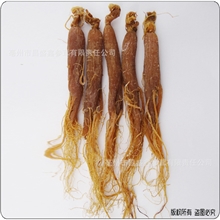 中药材参茸批发无硫优质大号红参全须12支500g