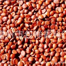 中药材批发批发野生酸枣仁酸枣仁养肝，宁心，安神，敛汗