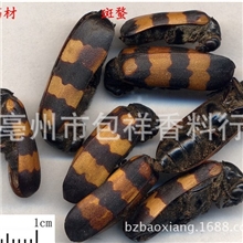 中药材批发斑蝥瘰疬.狂犬咬伤大毒花斑蝥、花壳虫100克/200元