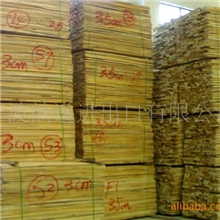 批发杨木、杨木板。杨木板材、杨木原木！！！