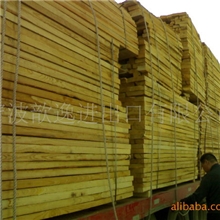 杨木批发中心！【优价供应】