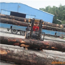 德国榉木生产的榉木木皮