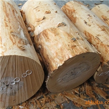 旋切红榉、白榉木皮、单板广泛使用于休闲椅、电脑椅等