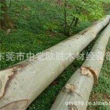 大量供应榉木家具材&mdash;量大从优