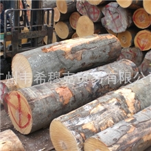 直销批发供应优质欧洲榉木原木
