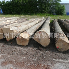 直销批发供应优质欧洲水曲柳原木