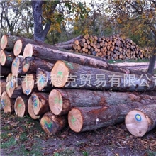 直销批发供应优质欧洲红橡原木