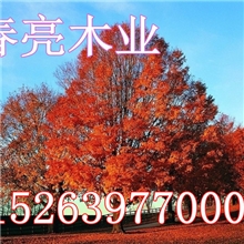 厂家自产自销杉木贴面板橡木饰面板