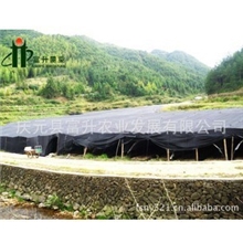 夏菇基地\菌棒出口(香菇)