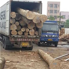 提供优质白腊木、榆木，柞木，水曲柳厂家直销现货批发家居板材