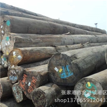 新到马来西亚山樟