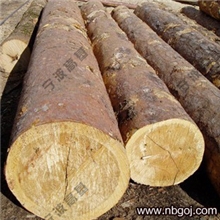 【宁波高基】欧洲白松（云杉）原木大径