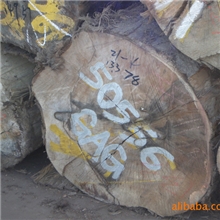 供应卡锣原木（巴新GAG）