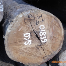 供应坚木原木红坚白坚（巴新DYS）