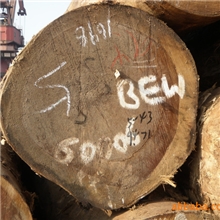 供应金丝柚原木（巴新BEW）