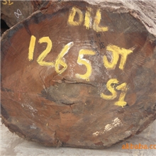 供应第伦桃原木（巴新DIL所罗门DL）