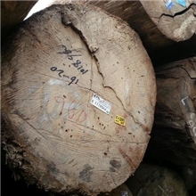 处理优质柳桉大径柳桉无结疤