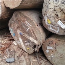 新到马来西亚杂木、柳杂、大径柳杂