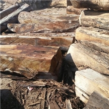 新到亚花梨大径亚花梨亚花梨大方