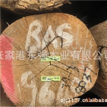 供应黄桐木原木（巴新BAS）