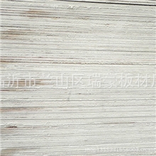 【批发】胶合板厂家直销杨木芯一次成型包装板强度高多种规格