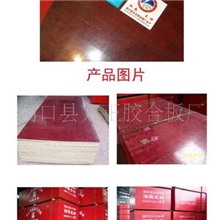 诚招旺正牌竹胶板代理加盟