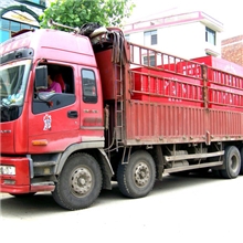 高档竹胶板热销中&middot;&middot;&middot;