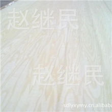 供应椴木木皮一米以上长度，自然宽。裁剪边条。