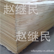 供应高等级低价位桦木顶级面板白桦木皮桦木木皮