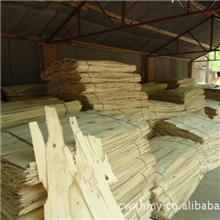 长期直销发杨木皮优质家居板杨木面皮欢迎选购