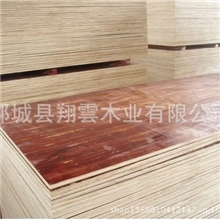 批发零售优质建筑模板桥梁板家具板欢迎订购