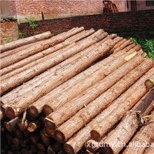 供应杉原木、杉木方、及加工各种规格家具板