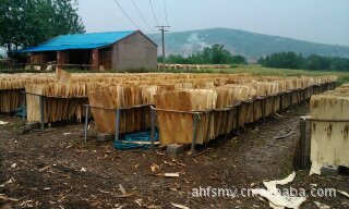 旋切单板、木皮