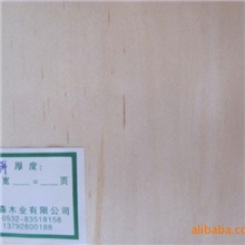 供应优质白桦木皮、木单板