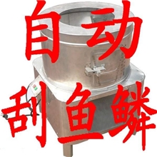 全自动脱鱼鳞机厂家