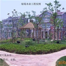 足尺/环保型ACQ防腐剂处理/真空加压防腐木