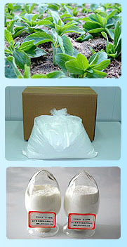 供应奥星海根圣仁等（食品级）一级甜菊糖