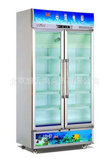 白雪冰柜展示柜SC-600F无氟双门风冷立式展示柜冰箱