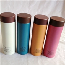 供应300ML糖果色双层不锈钢真空保温杯迷你真空杯男士女士儿童