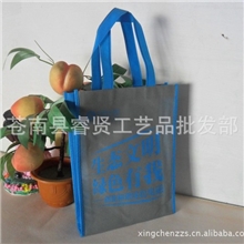 厂家直销：2013年4月新最款特价无纺布坏保袋