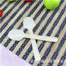 厂家直销一次性环保塑料勺雪糕勺冰淇淋羹冰激凌勺小勺