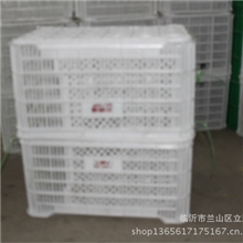 【批发】供应塑料水果筐|蔬菜筐|果蔬周转筐厂家直销颜色可定制