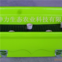 (小号)懒汉盆阳台种菜盆蔬菜种植盆神力自动恒湿盆(种植简单