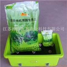 江浙沪包邮送种子阳台种菜盆蔬菜种植盆神力自动恒湿盆+土+肥