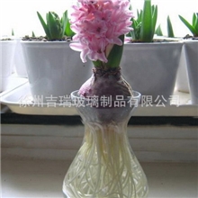 厂家直销优质玻璃瓶，风信子水培器皿，水培植物玻璃瓶