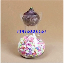 风信子水培瓶玻璃水培瓶子花瓶透明花器台面花瓶园艺用品