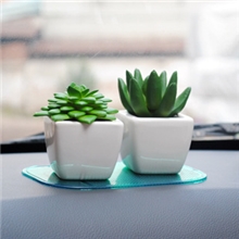 【伙拼】迷你仿真盆栽迷你仿真植物可爱车内饰品单盆