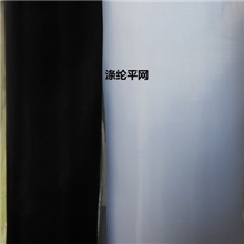 供应19号--9涤纶薄黑白色平网.,用于手袋，印花.和鞋料各种里布