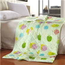 〖厂家批发〗夏被|礼品夏凉被|斜纹磨毛印花夏被承接贴牌