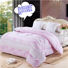 2012隆重推出物美价廉的，水洗珠光棉的春秋被，礼品被子批发